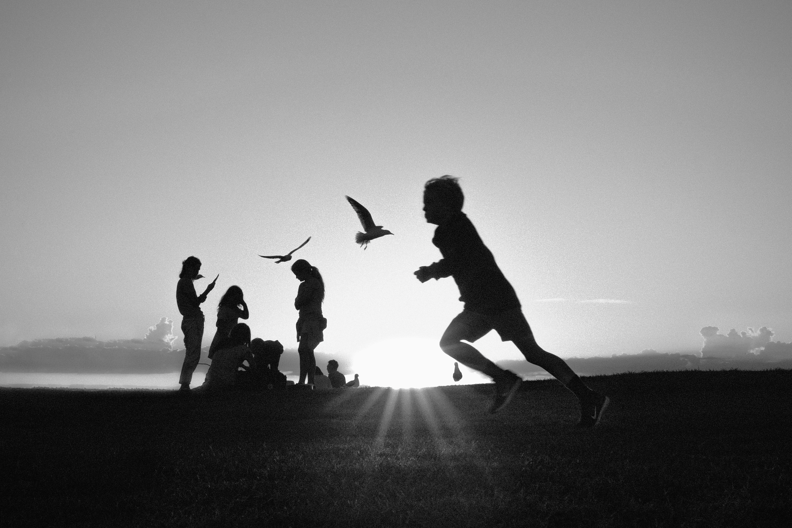 La Perouse, 2019