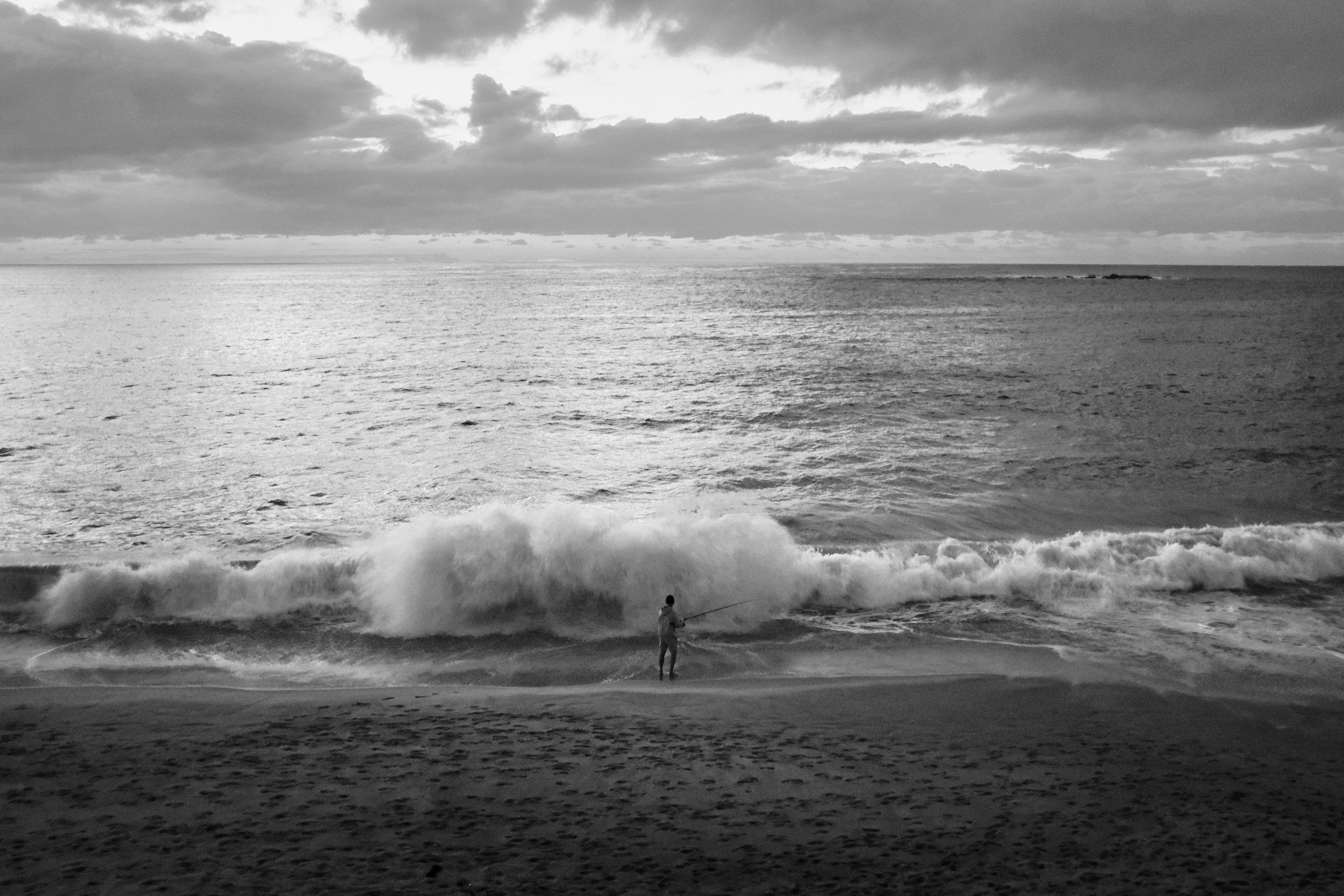 Coogee, 2019